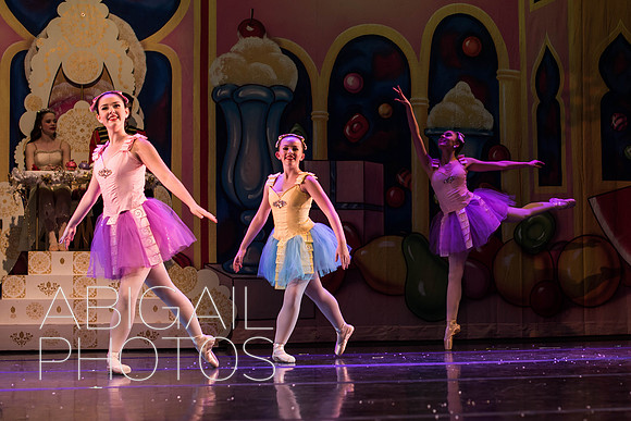 DSC_8426