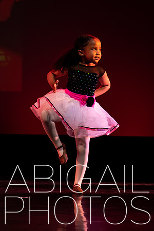 DSC_0805.jpg