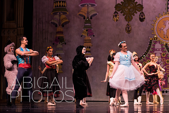DSC_6516