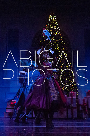 GM2_3111.jpg