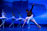 Swan Lake 2025